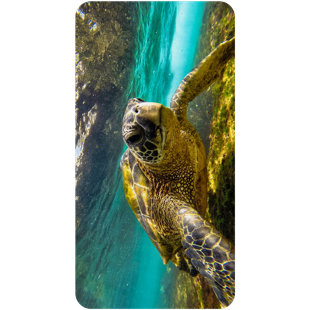 VersaTraction's Kahuna Grip Bathmat - Stone Picture Frame 1, 1