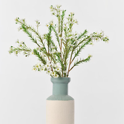 Audet Waxflower Stems