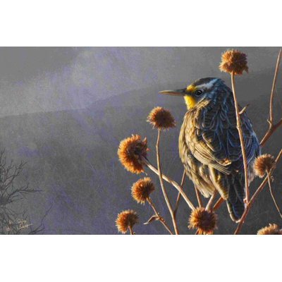" Meadowlark " by Chris Vest