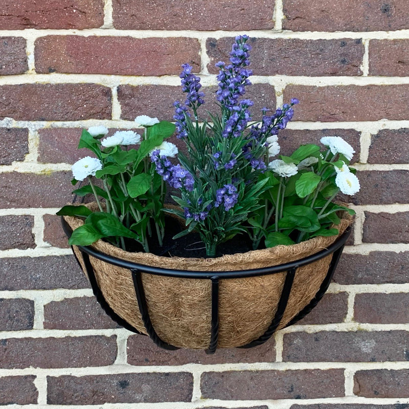 Alamia Metal Wall Planter