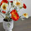 Arrangement floral coquelicot en pot