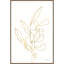 Racines florales V or-828930429