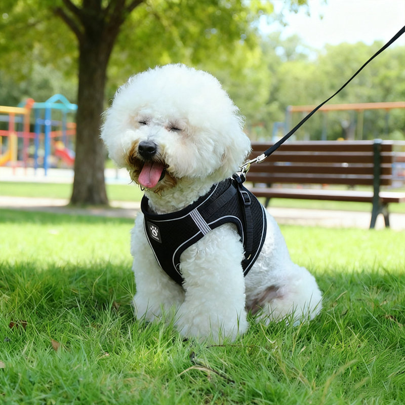 Dog Harness Adjustable Reflective Polyester Black, Black