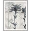 Sweet Perfume 1 Print by Art House Studios-931081572