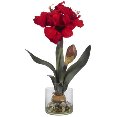 Centre de table Amaryllis dans un vase