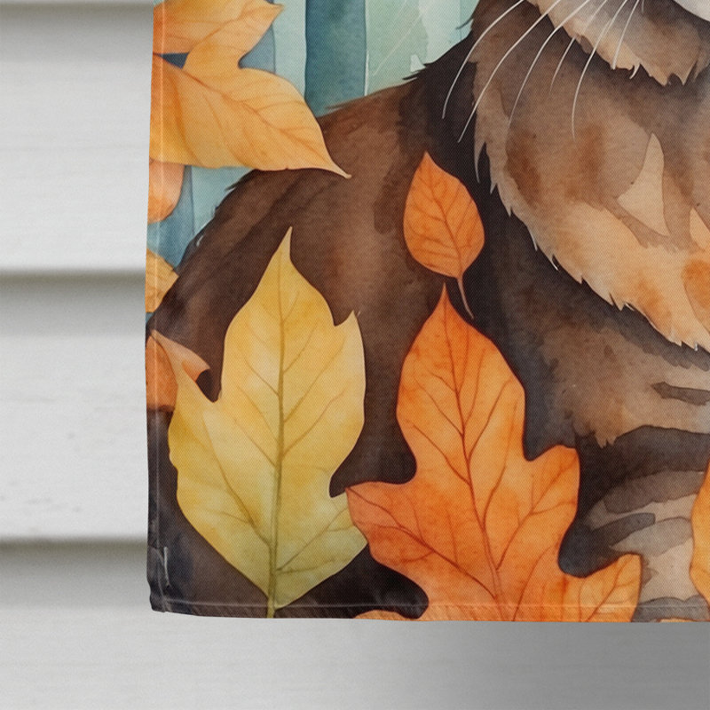 Chat en feuilles d'automne, Sokoke