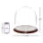 Vucciria 11.75" x 12" Glass Display Dome Cloche-87407490