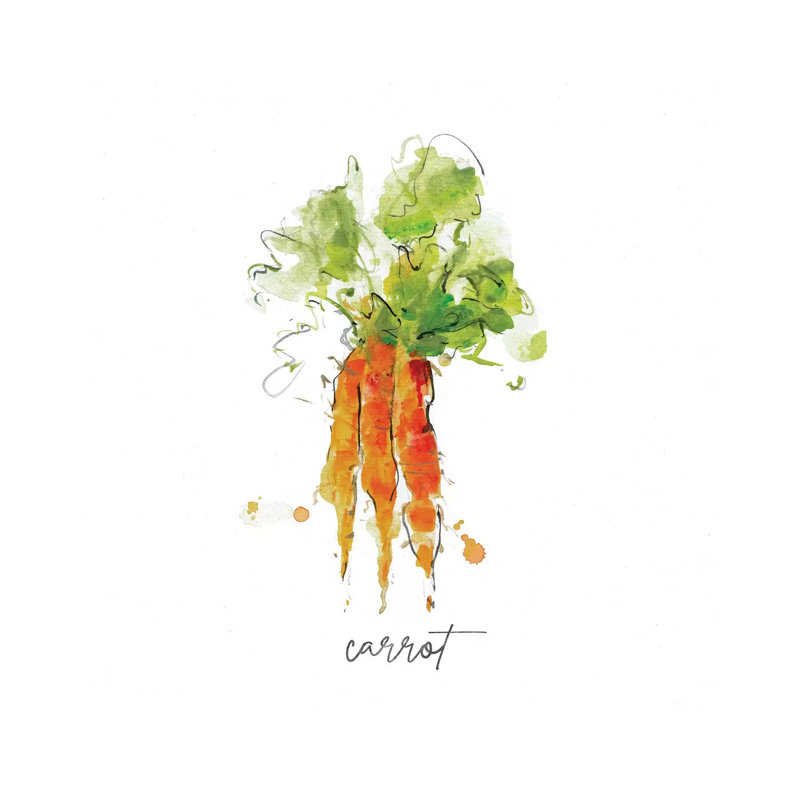 Sketch Kitchen Carrot by Sally Swatland - Wrapped Canvas Gallery-Wrapped Canvas Giclée, 66.04 cm H x 66.04 cm W x 1.91 cm D