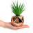 7.5 " H Faux Succulent