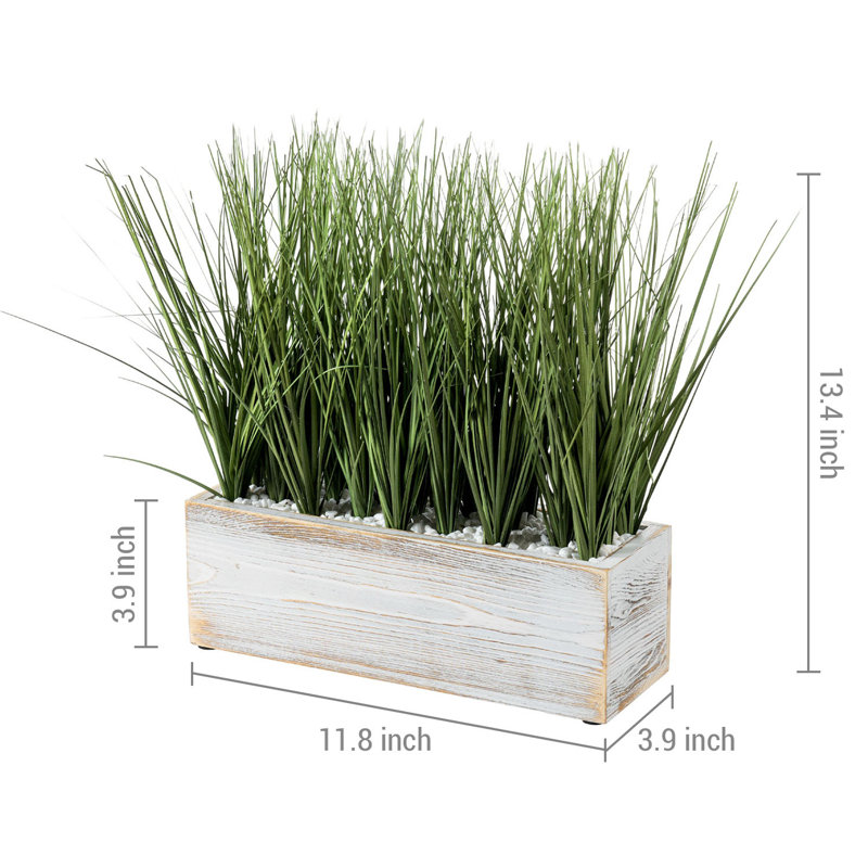 Faux Onion Grass Grass in Solid Wood Planter, 33.9 cm H x 30 cm W x 10 cm D, White