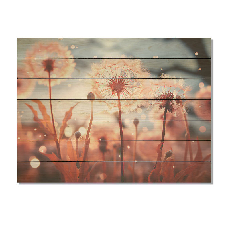 «Delicate Calm Dandelion Serenity III» - Autres plantes et fleurs sur bois, H 34 po x l 44 po