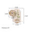 Horloge murale 27,56 po
