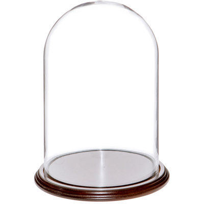Jenett Glass Display Dome Cloche