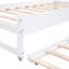 Lit de jour convertible simple avec tablettes Bethsabee par Winston Porter-1668676448