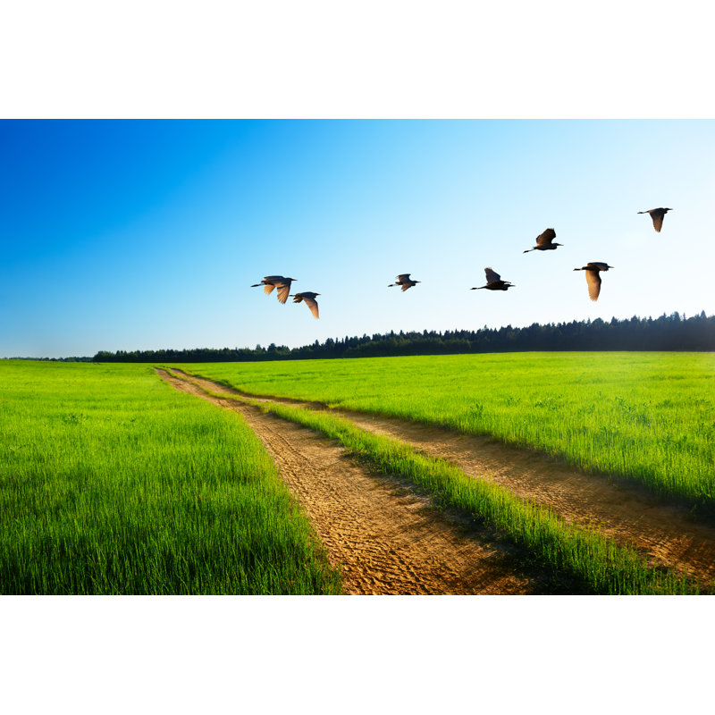 Roulers Birds And Road - Wrapped Canvas Print, 30cm H x 46cm W x 3.8cm D