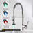 FLG Pull Down Kitchen Faucet