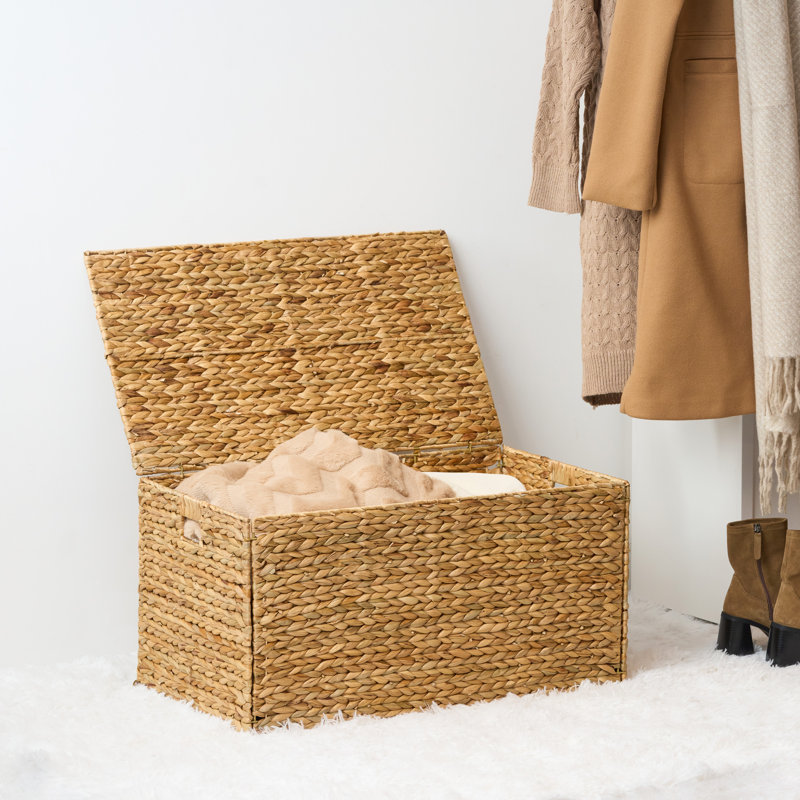 Ludmilla Wicker Trunk, 26.8"L x 16.1"W x 14.2"H
