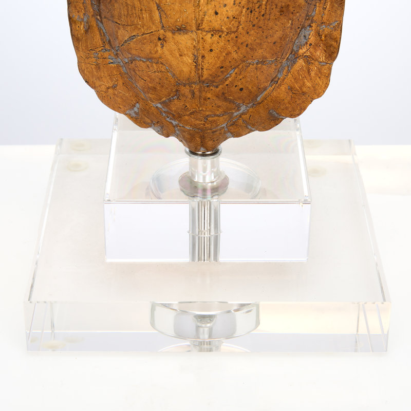 Tortoise Table Lamp