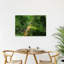 Printemps, parc, chemin paisible, serein, cheval tranquille, forêt, art mural-129154981
