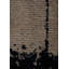 Rapture Abstract Area Rug-1117421941