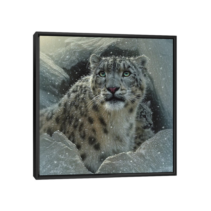 «Snow Leopard Fortress, Square» par Collin Bogie, reproduction sur toile tendue sur châssis, H 18 po x l 18 po x P 1,5 po