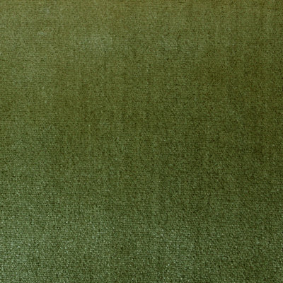 Essential Velvets Tiberius Fabric