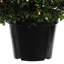 Cône de buis artificiel en pot UV-1678020931