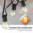 Agnon 50 - Bulb 50 in. Plug-in LED Globe String Lights