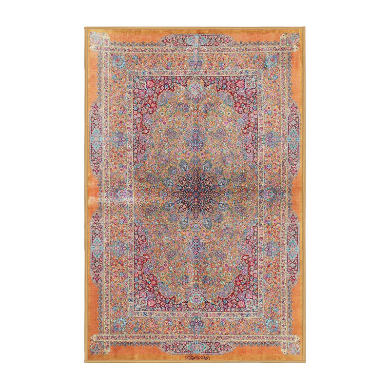 Oriental Indoor Rug, Rectangle 6' x 9'