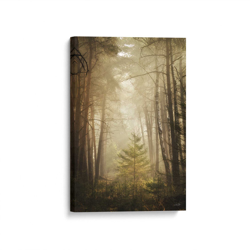 «The Little Things» par Martin Podt, reproduction d'art, 8 W x 12 H, Does Not Apply, Unframed Canvas