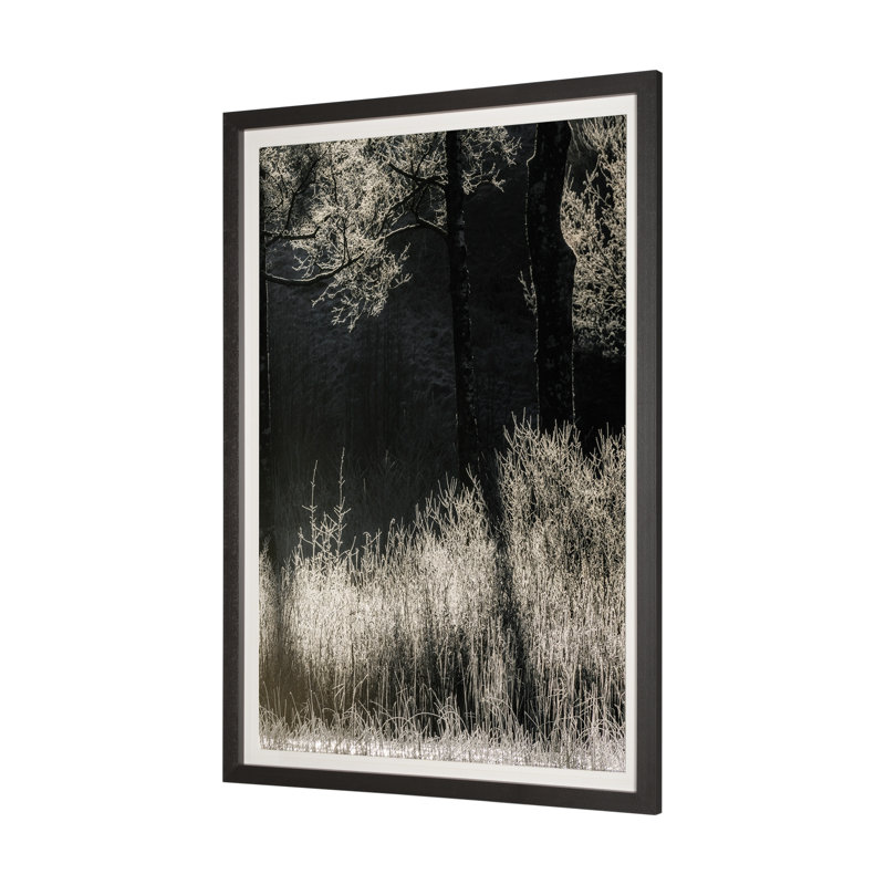 Tranquil Symmetry I by Mikael Svensson a Framed Art Print Matted under Glass, Symmetry II