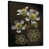 Toile avec cadre flottant noir