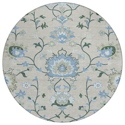 Machine Washable Indoor/Outdoor Chantille ACN2291 Global Rug