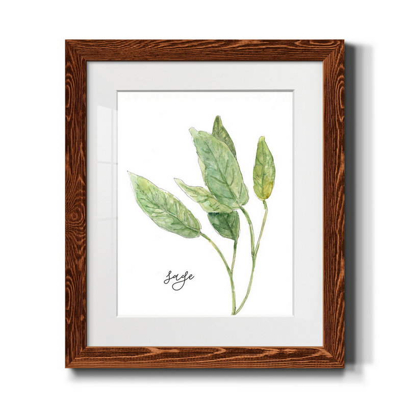 Sauge fraîche - Cadre photo, reproduction d'art sur papier, H 24 po x l 18 po x P 1,5 po, Érable encadré