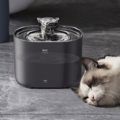 Pet Fountain