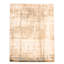 Quinones Viscose Indoor Rug
