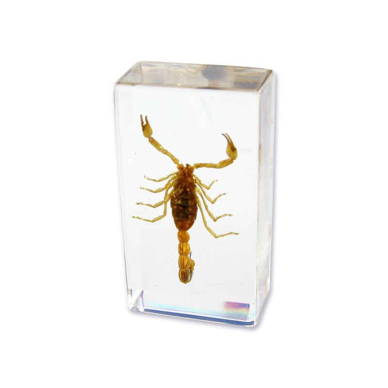 Presse-papier à Scorpion privette