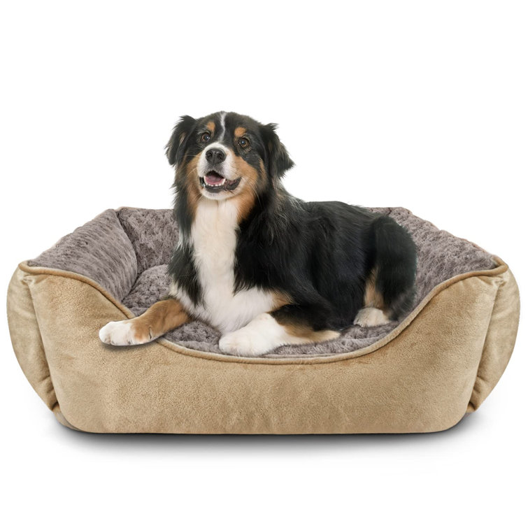 Levi Beer Dog Bed Large Washable Calming Dog Bed Anti-Anxiety Dog Bed  Rectangle Dog Bed With Soft Cosy Plush Pet Bed Size Small Medium  Large Mattress Mat For