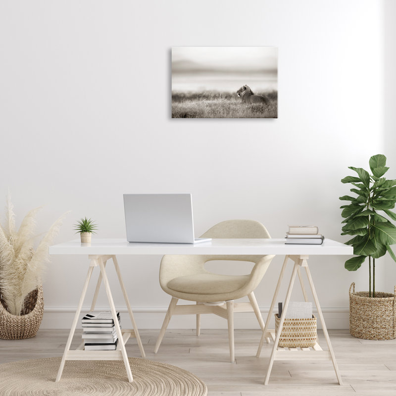 Art mural sur toile, "Resting lion in Savanna Grass", par Danita Delimont, H 16 po x l 24 po