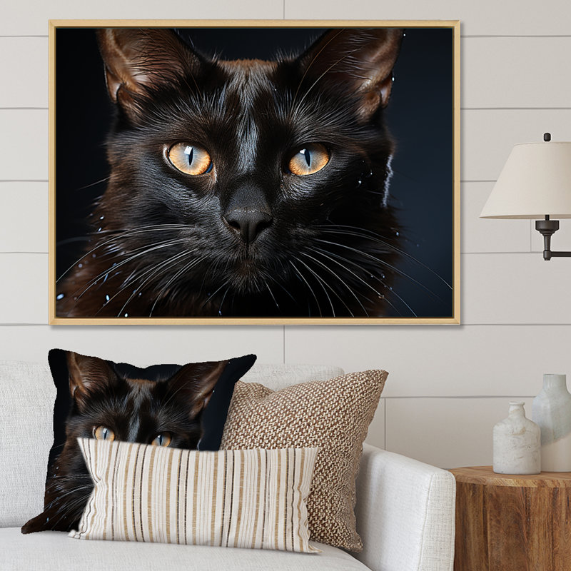 «Burmese Beauty Black Cat I», reproduction d'art mural, H 12 po x l 20 po x P 1 po, Cadre flottant blanc