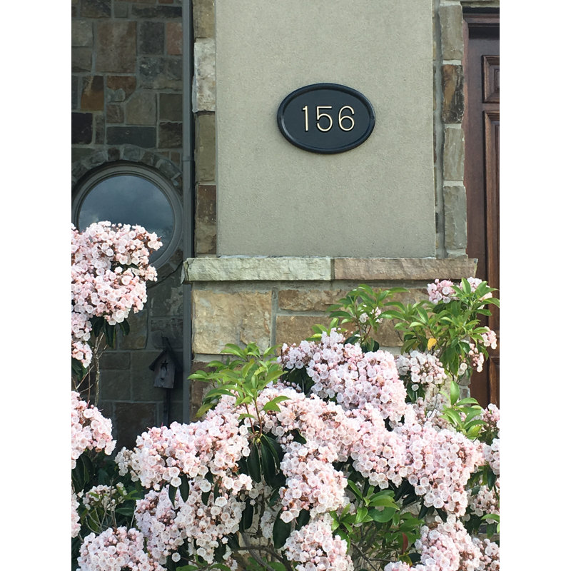 Albert Oval Reflective Wall Plaque, Yes