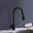 Topcraft Single-Handle Single-Hole Pull-Down Kitchen Faucet-69763960