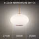 Illusion Single Light Glass Dimmable LED Pendant