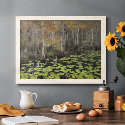 Bayou Autumn, reproduction d'art sur toile