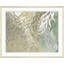 Willow Weave 1 Print