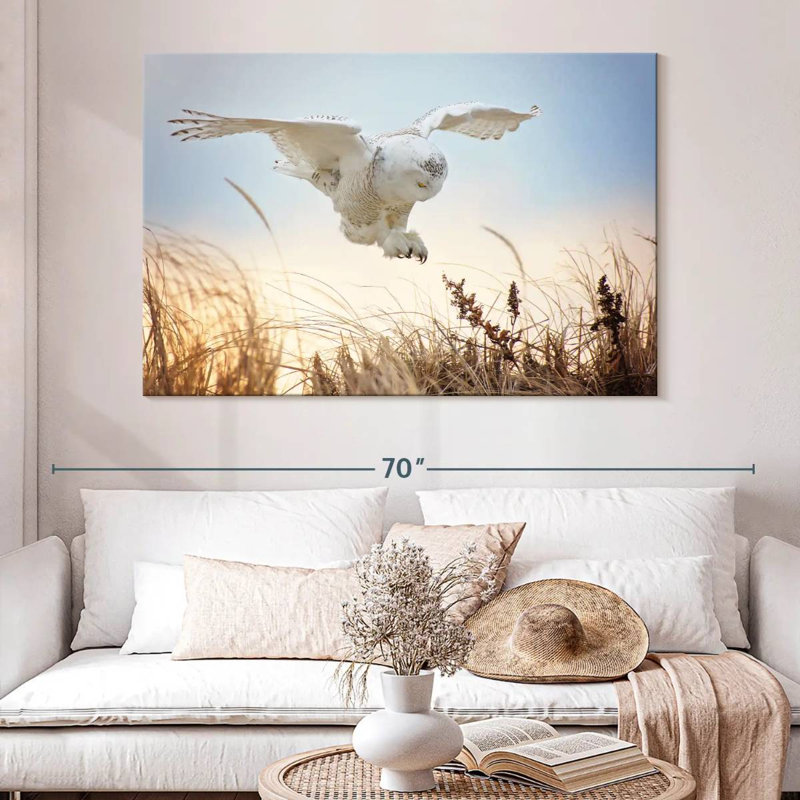 Chouette des neiges volant Brampt