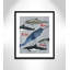 «Born to be free», impression sur papier-47841731-47841718