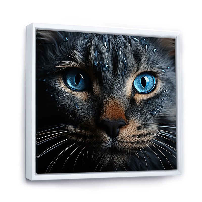 Chat, yeux bleus, chat, Cadre flottant blanc, H 16 po x l 16 po x P 1 po