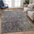 Machine Washable Indoor/Outdoor Chantille ACN2359 Traditional Rug-688489596