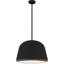 Aaila 4-Light Matte Black Pendant Light
